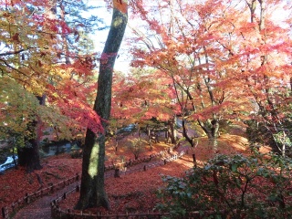 秋の紅葉は見事です